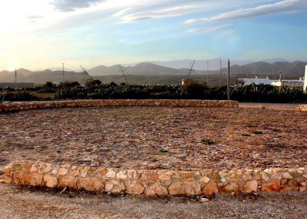 Olivares Rural Los Albaricoques Bagian luar foto
