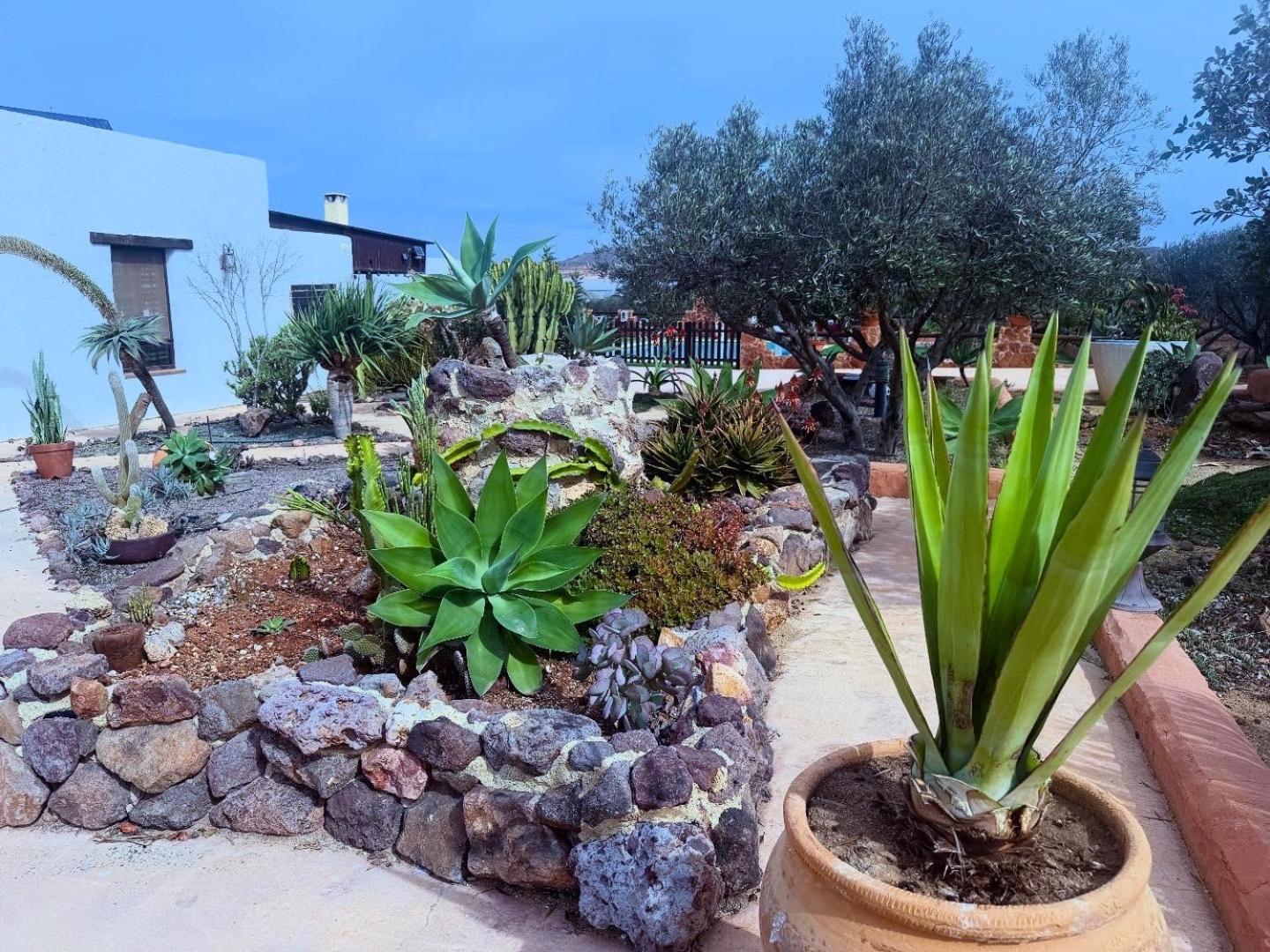 Olivares Rural Los Albaricoques Bagian luar foto
