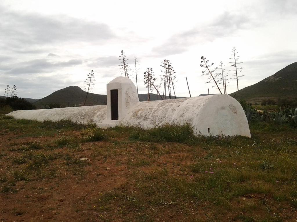 Olivares Rural Los Albaricoques Bagian luar foto