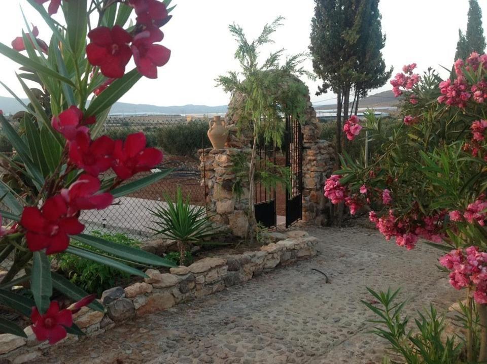 Olivares Rural Los Albaricoques Bagian luar foto