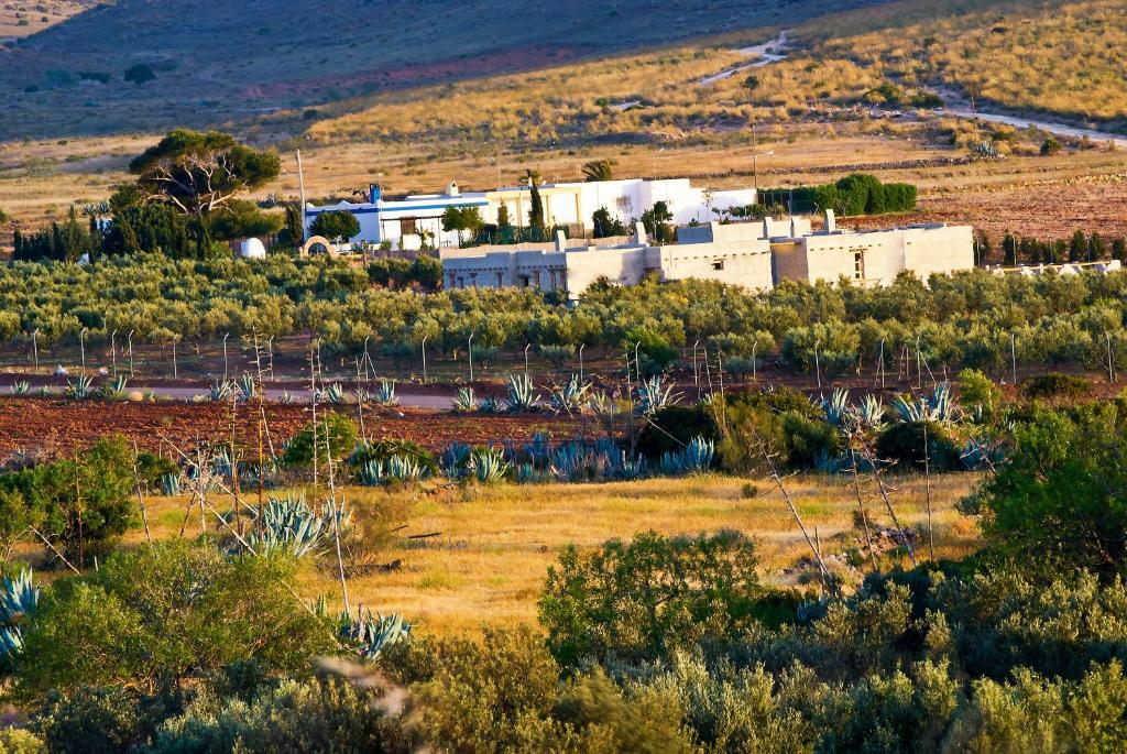 Olivares Rural Los Albaricoques Bagian luar foto